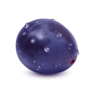 1回の使用料（巨峰１粒くらい）