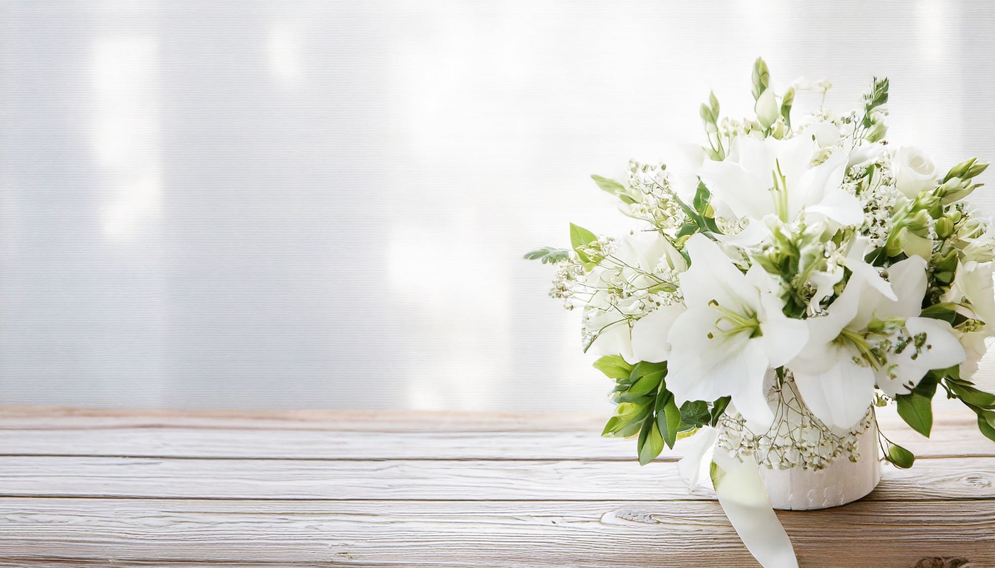 ホワイトリリーの画像