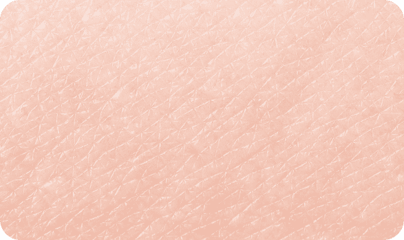 キメの整った肌