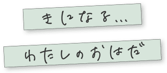 問題見出し 気になる、私のお肌